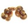 Ufip Natural Series SPLASH 12\"-30cm