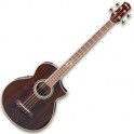 IBANEZ EWB20WNE Basso Acustico Elettrico