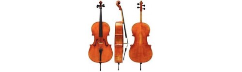 Violoncelli